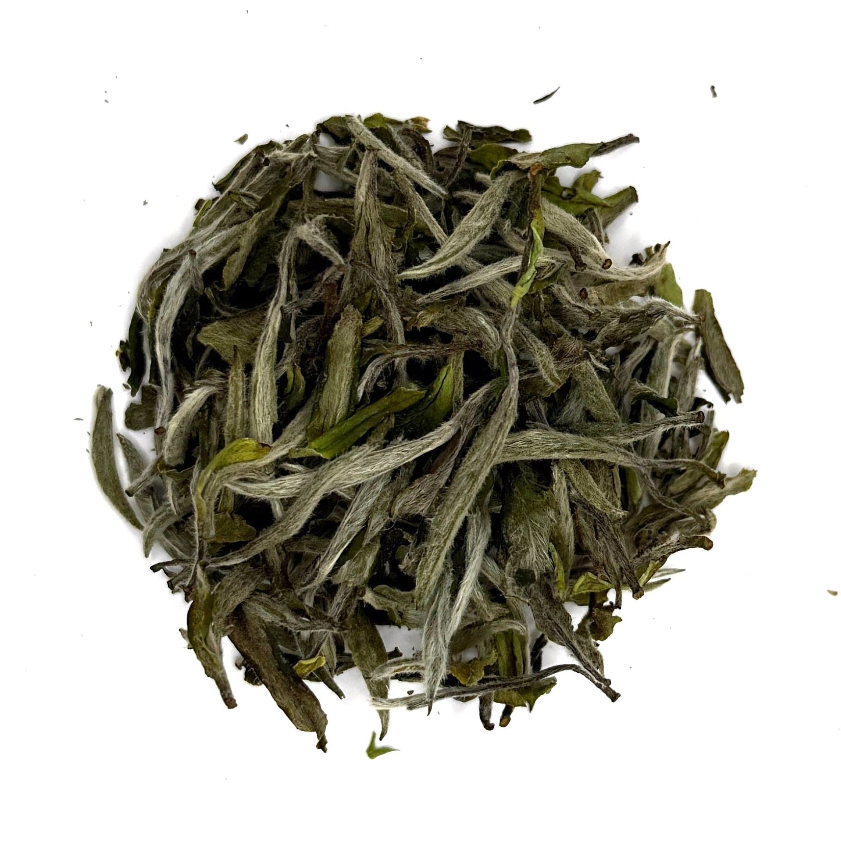 White tea leaves on a white background