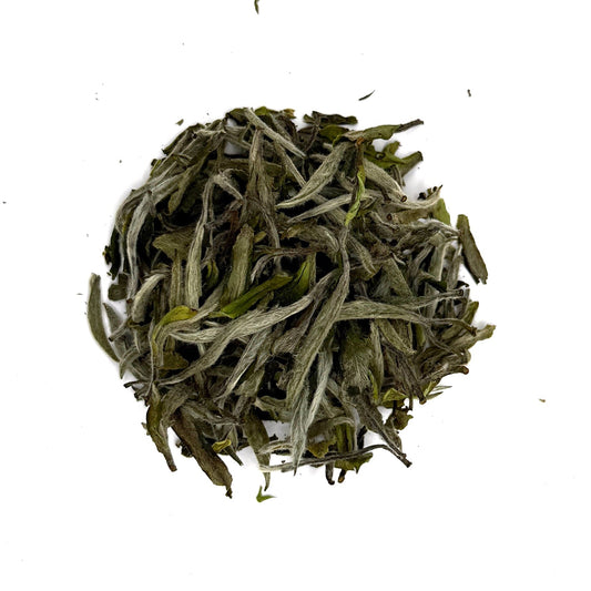 White tea leaves on a white background