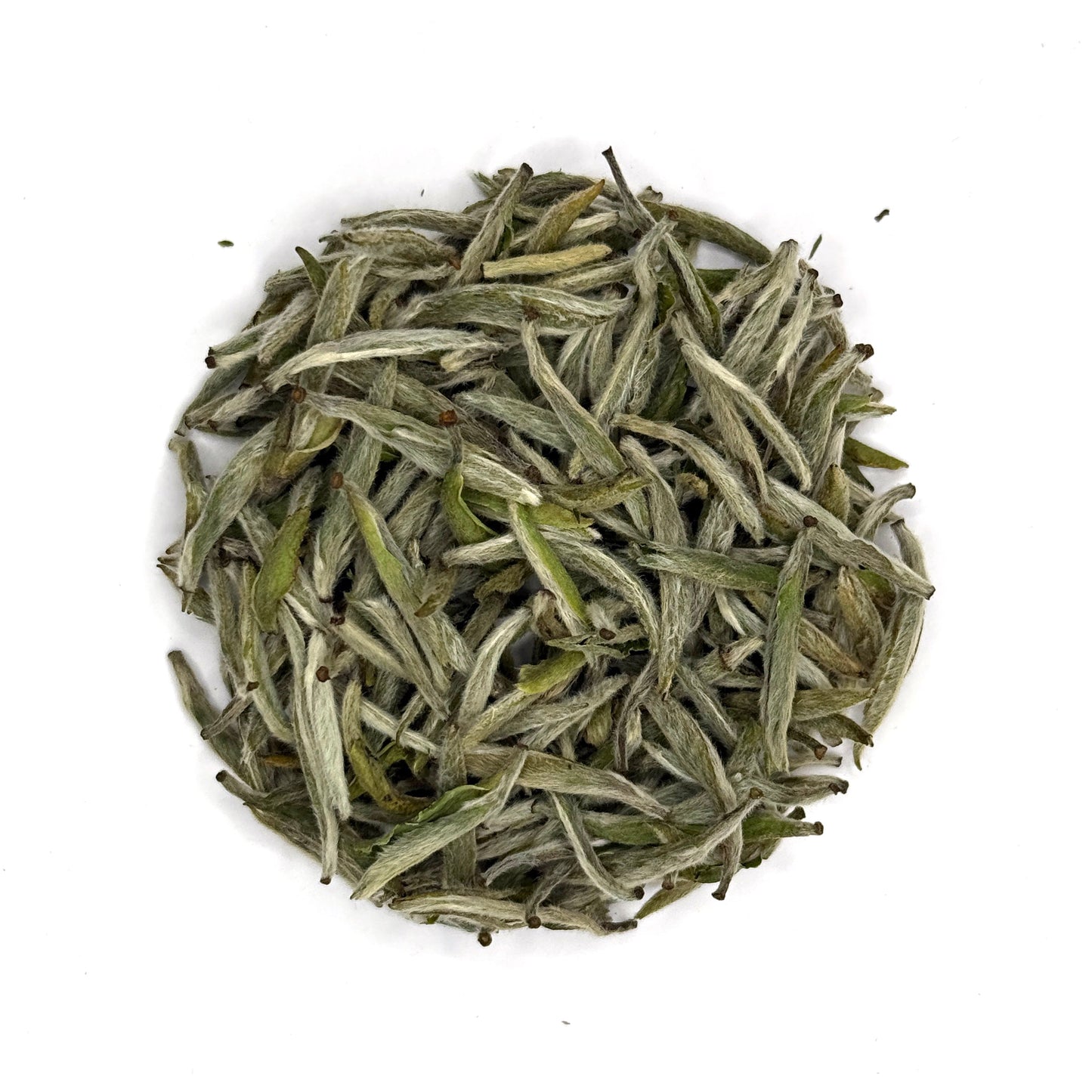 2026 Early Spring 1st Picking White Hair Silver Needle White Tea (Bai Hao Ying Zhen)