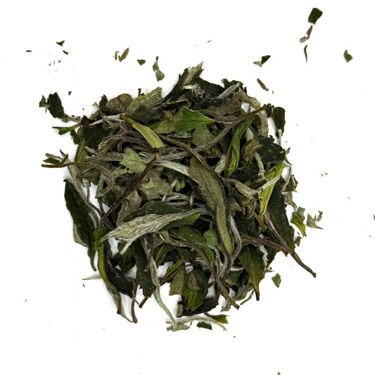 Dried white tea on a white background
